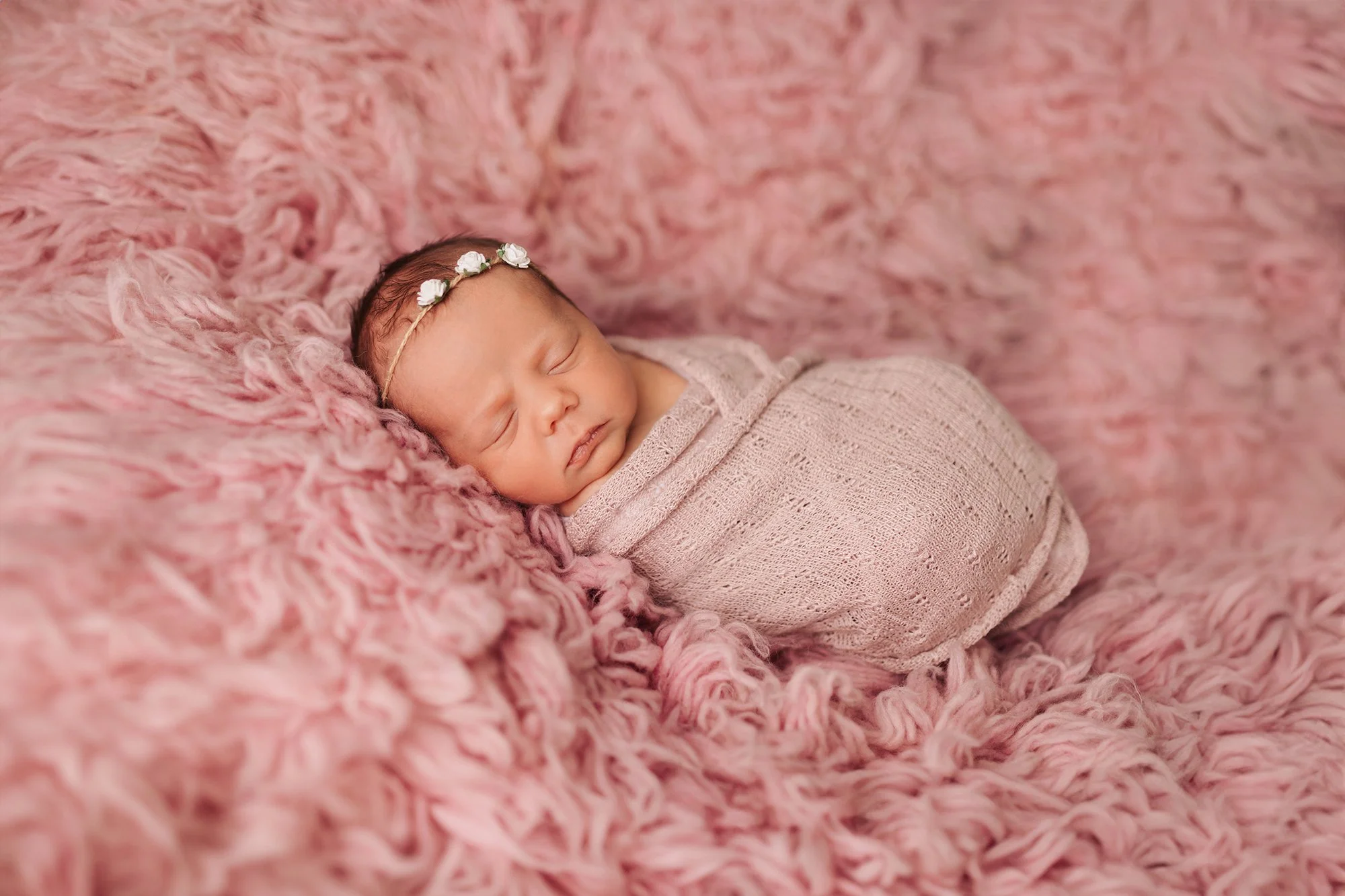 その他 NEWBORN Llorens 17.3